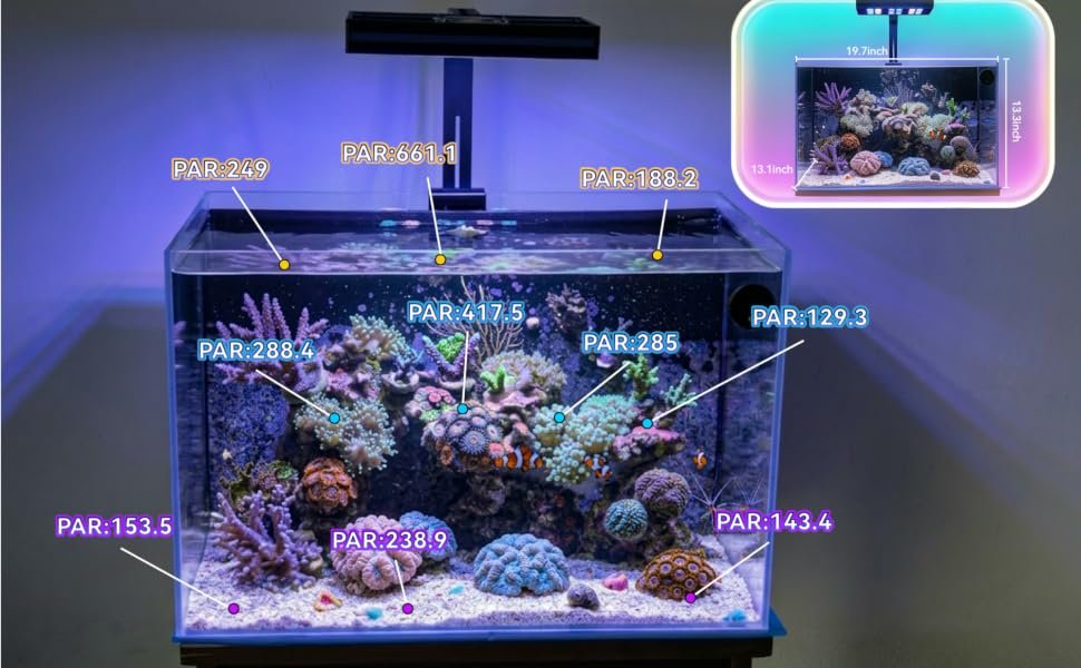 Underwater PAR distribution map across an approximately 20-inch reef aquarium