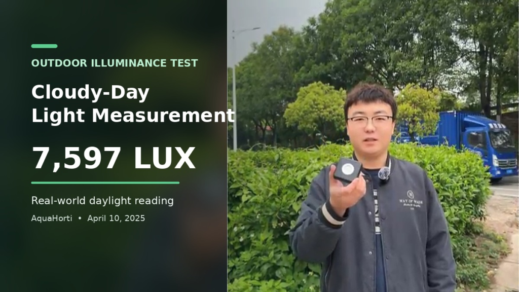 Outdoor illuminance test on a cloudy-looking day with a measured reading of 7597 lux
