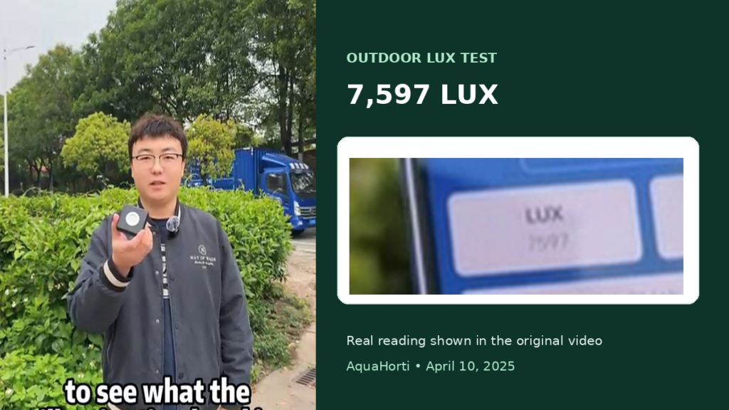 Outdoor illuminance test showing a measured reading of 7597 lux on the phone display